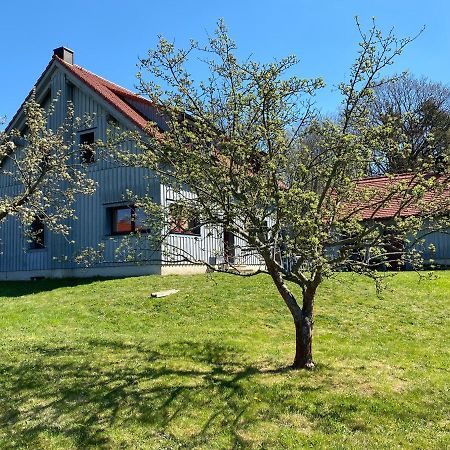 Waldhaus Am Lilienstein Apartman Königstein an der Elbe Kültér fotó