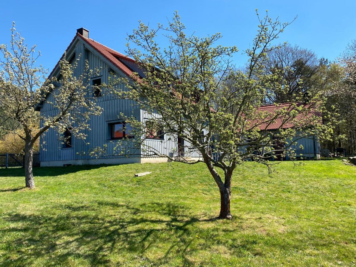 Waldhaus Am Lilienstein Apartman Königstein an der Elbe Kültér fotó